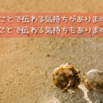 ヤドカリの恋愛