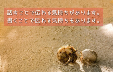 ヤドカリの恋愛