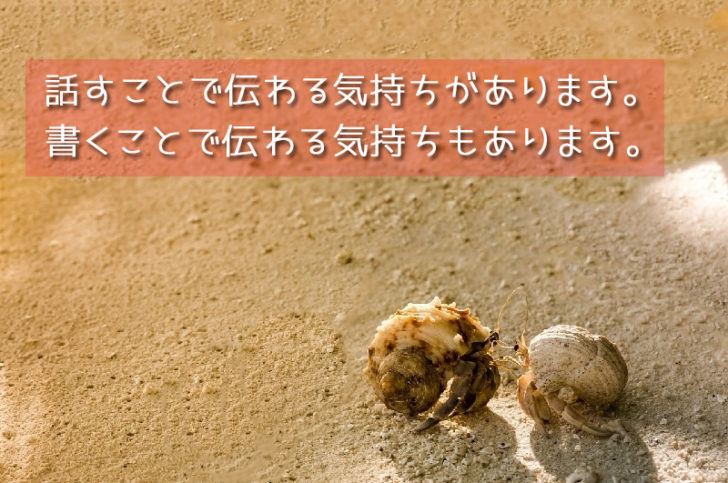 ヤドカリの恋愛