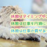 猿の露天風呂